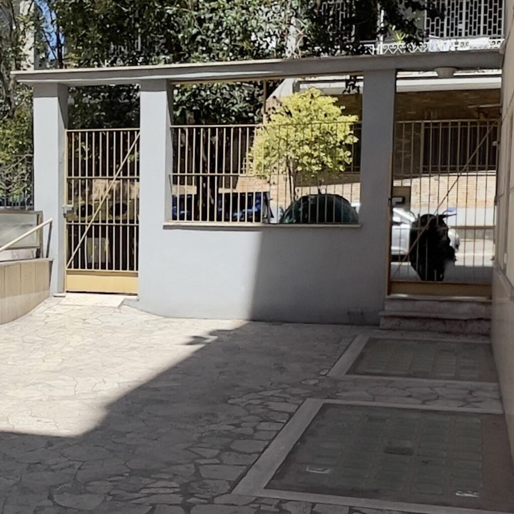 Roma-esterni (11)