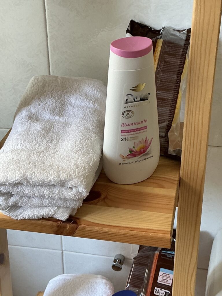 Santa-bagno (11)